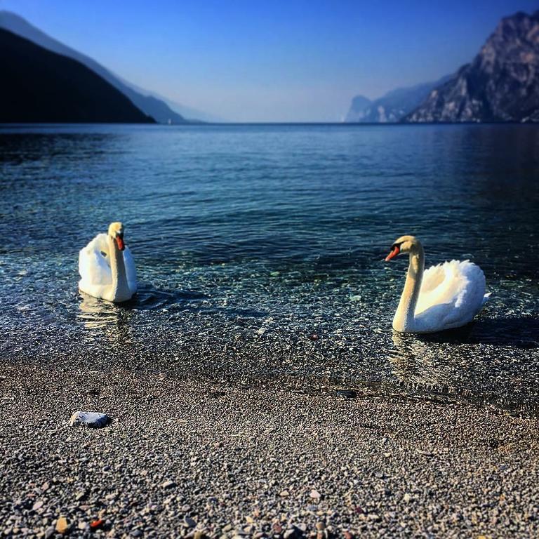 Villa Linfano Torbole Sul Garda Екстериор снимка